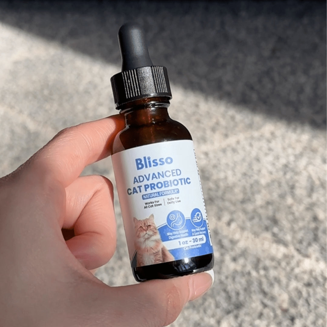 Ollie and Co. Cat Probiotic bottle