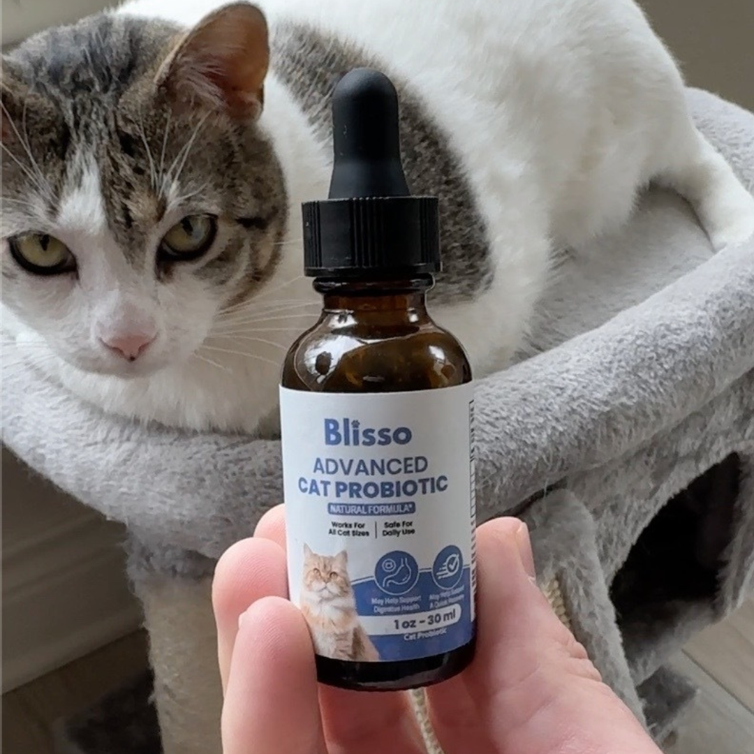 Trusted by thousands of cat parents