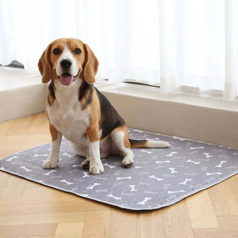 Pup Pad product